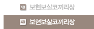 보현보살코끼리상